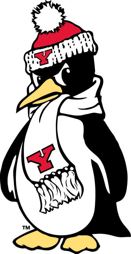 Youngstown State Penguins 1993-Pres Alternate Logo 01 vinyl decal